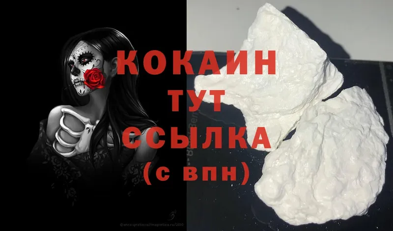 Кокаин FishScale  цены   Великий Устюг 